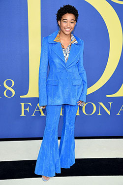 2018 CFDA Fashion Awards. All the Best Looks From the CFDA Fashion Awards: Fashion photography,  Red Carpet Dresses,  Award Functions,  Amandla Stenberg,  Amandla Pics  