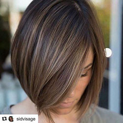 Short hair balayage straight, Bob cut: Bob cut,  Hair Color Ideas,  Brown hair,  Short hair,  Hair highlighting,  Regular haircut  