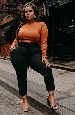 Brown and black colour outfit with trousers, crop top, jeans: Crop top,  Polo neck,  Plus size outfit,  Brown And Black Outfit  