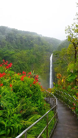 Outfit instagram Travel valdivian temperate rain forest: FASHION,  Travel photography,  Travel Outfits  