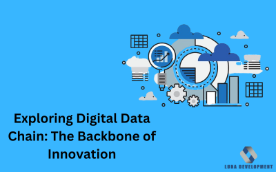 Digital data chain: 