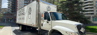 Seamless Cross-Border Transition: International Moving Experts: 