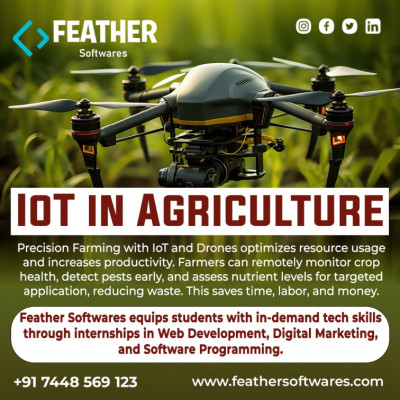 Internet of Things in Agriculture: 