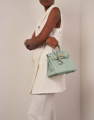Hermès Birkin 20 Vert: 