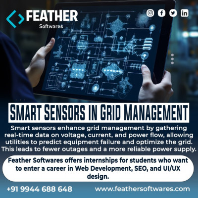 Smart Sensors in Grid Management: 