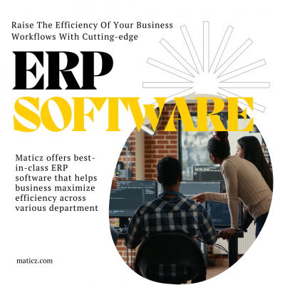 ERP software development: 