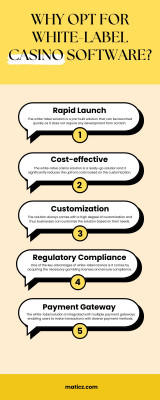 Why opt for white label casino software?: 