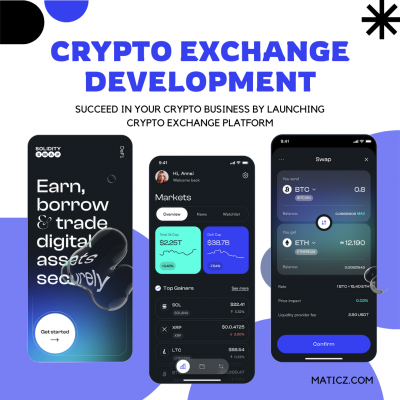 Cryptocurrency exchange development: 