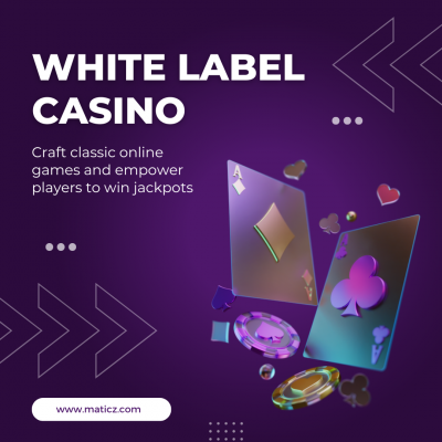 White-label online casino-Tap into the gaming market: 