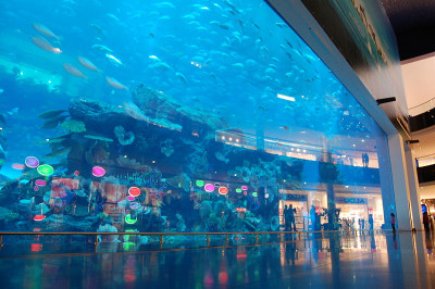 Dubai Aquarium and Underwater Zoo: 