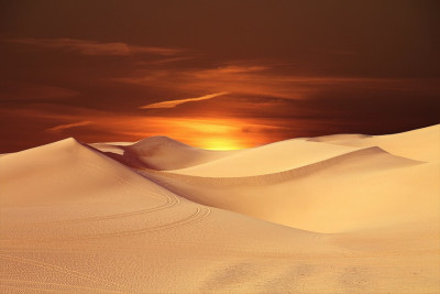 Desert Safari Dubai Deals Offer 2025: 