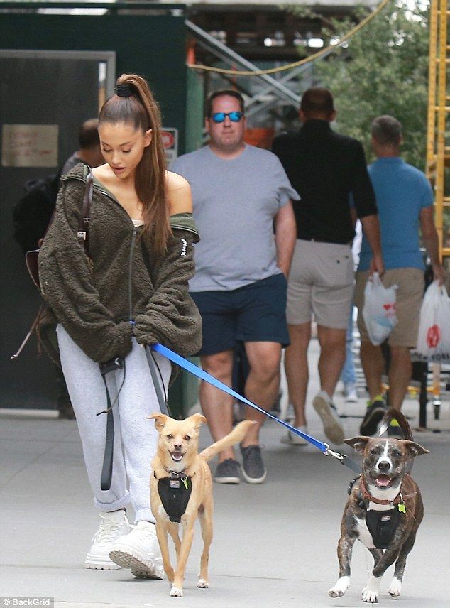 Ariana grande walking dog: Ariana Grande,  Mac Miller,  Ariana Grande’s Outfits  