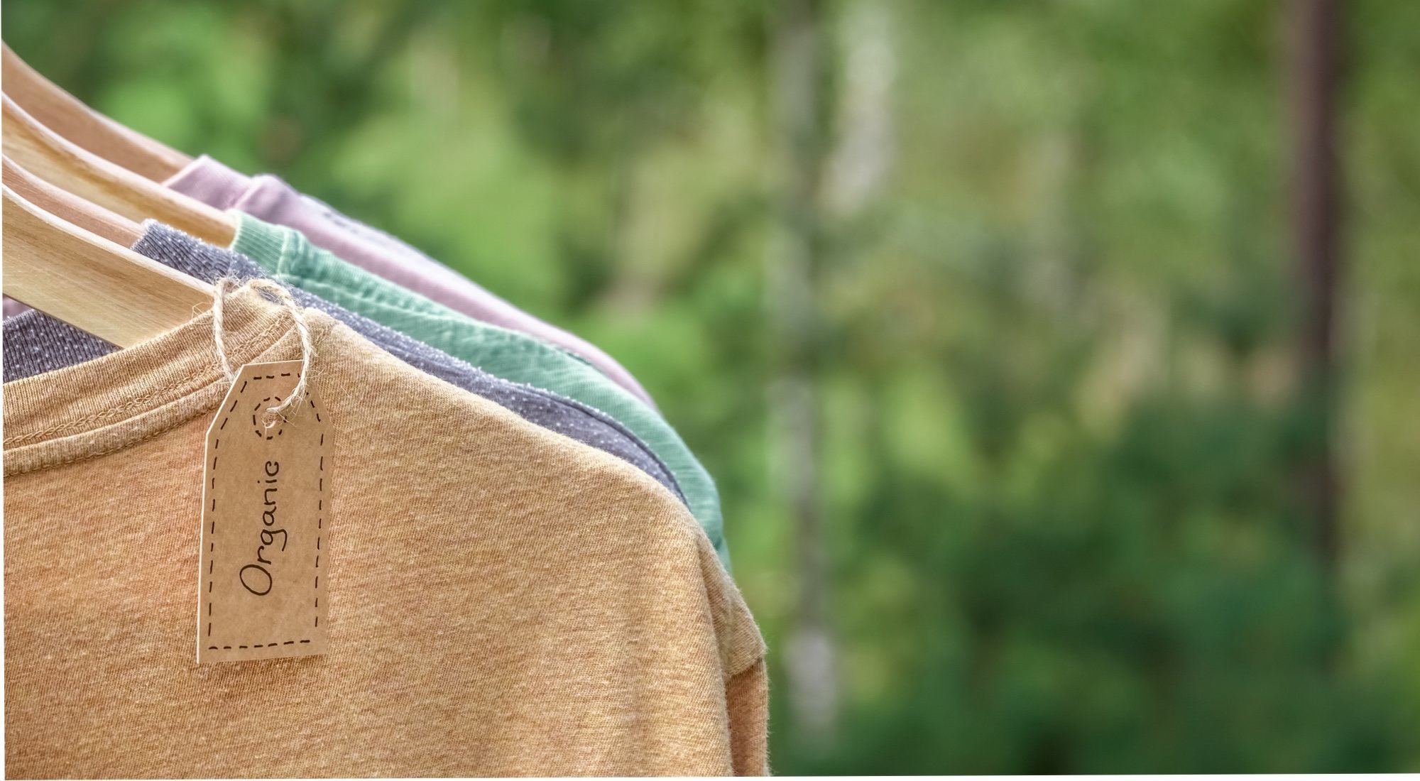 Moda Sostenible: ¿Qué Es La Moda Sostenible?: 