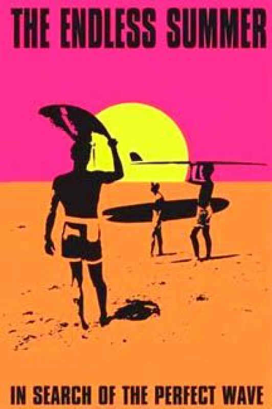 CEO, stock trader ex broker and addicted to surfing and the ocean.: 