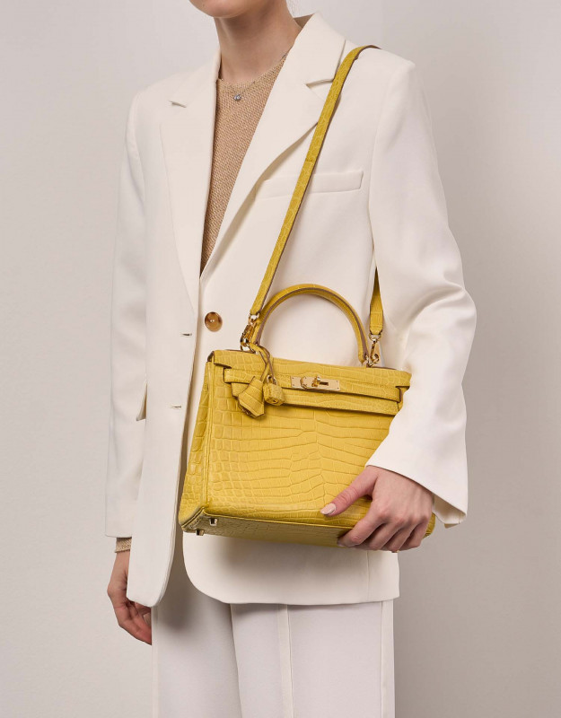 Do you like Hermès Kelly 20 Mimosa?: 