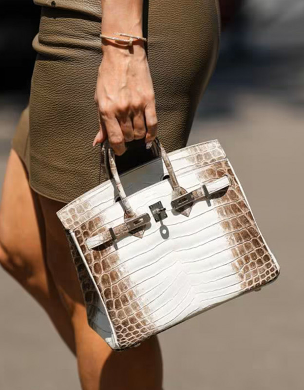 Hermès Birkin 30 Himalaya
