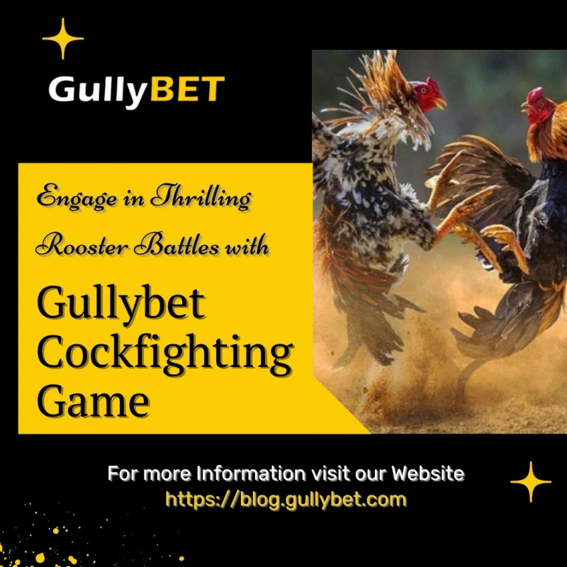 Engage In Thrilling Rooster Battles With Gullybet Cockfighting Game