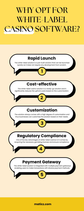Why opt for white label casino software?: 