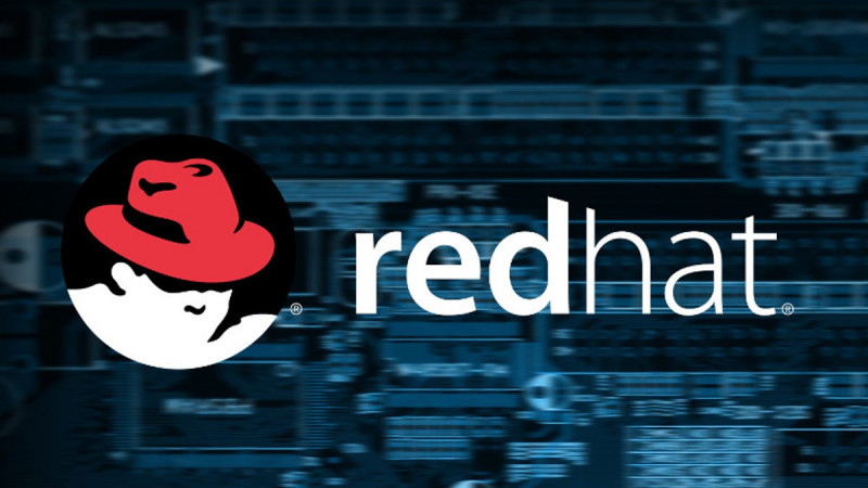 Red Hat: Empowering Innovation in Open Source: 