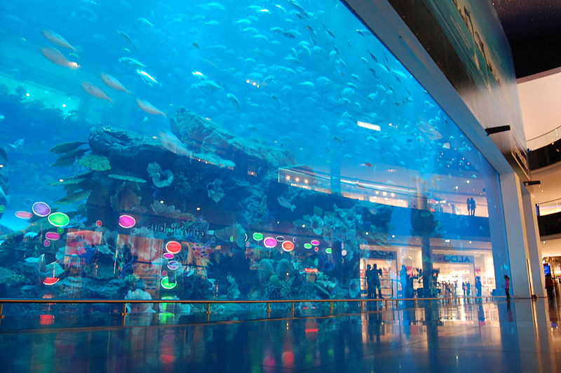 Dubai Aquarium and Underwater Zoo