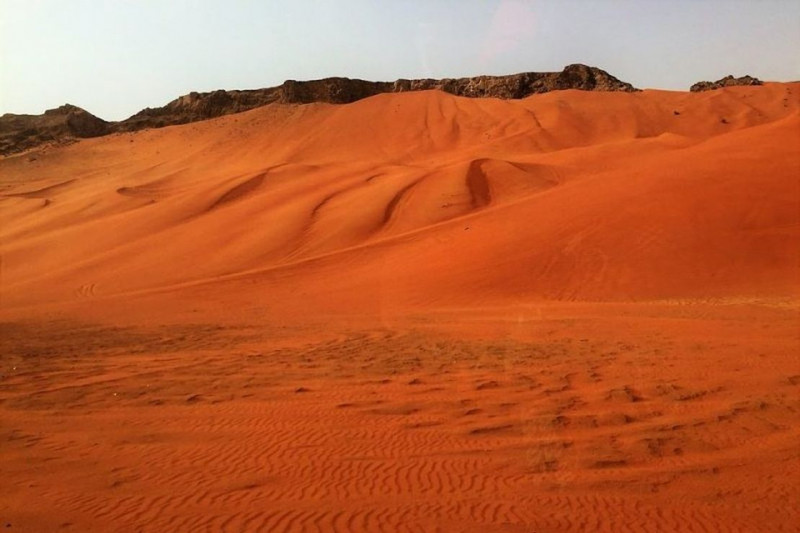 Red Dune Desert Safari in Dubai