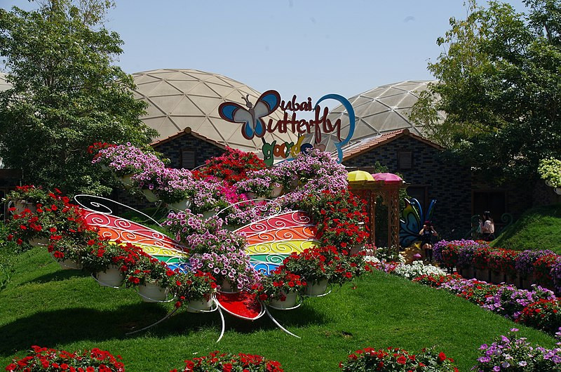 Dubai Butterfly Garden Ticket Offer