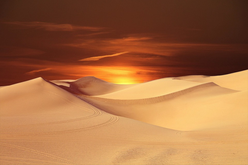 Desert Safari Dubai Deals Offer 2025